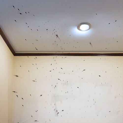 Hannochs_LED_Bulb_Anti-Mosquito_Main-Click-02
