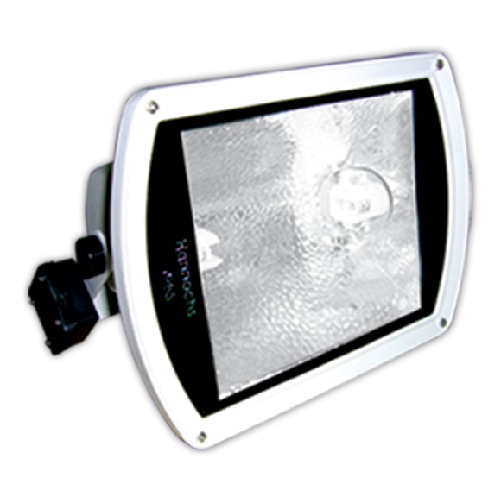 Flood Light