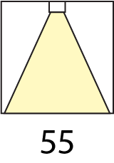 55