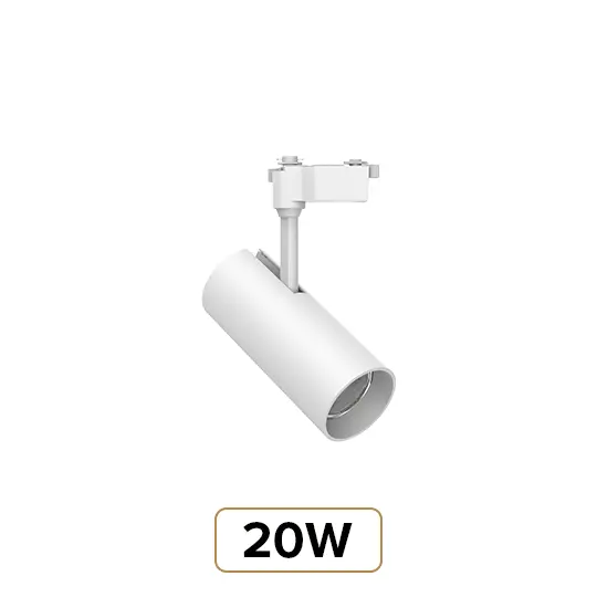 20W