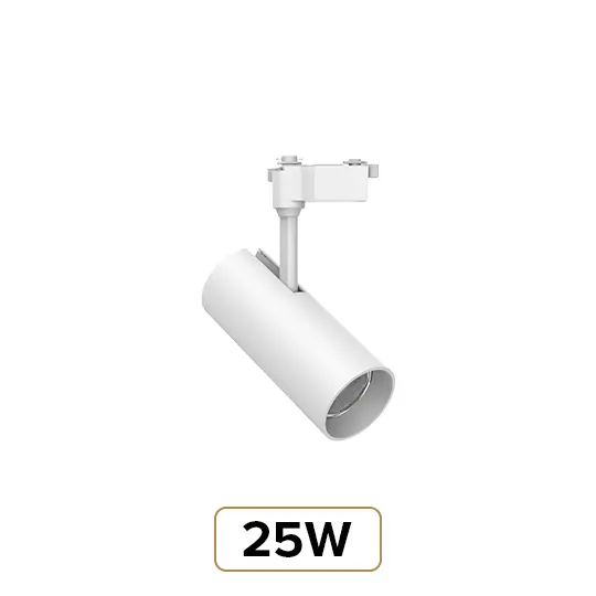 25W
