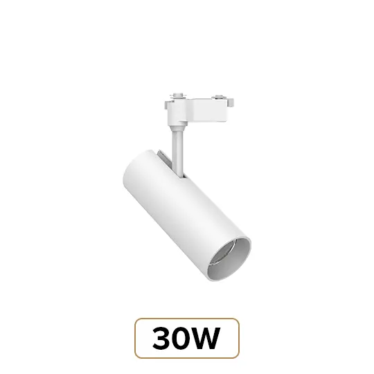 30W