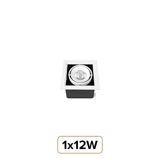 1x12W