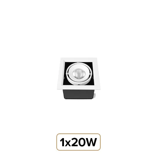 1x20W