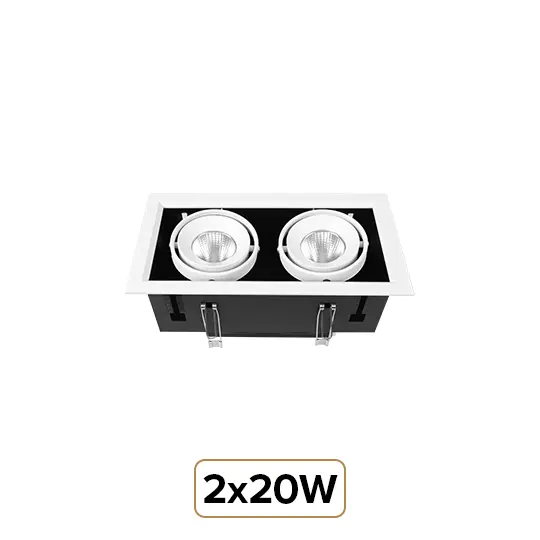 2X20W