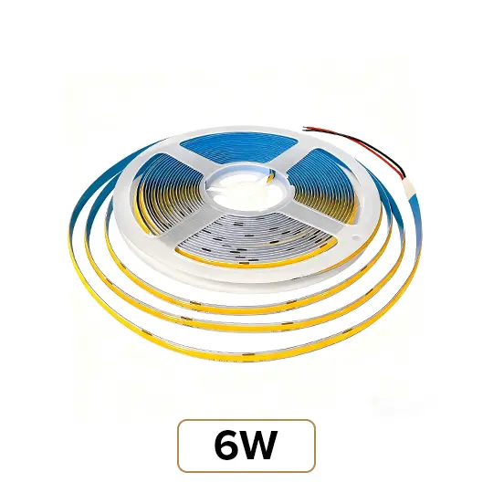 6W