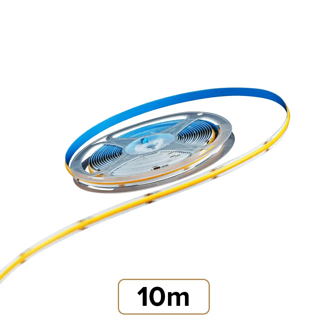10m
