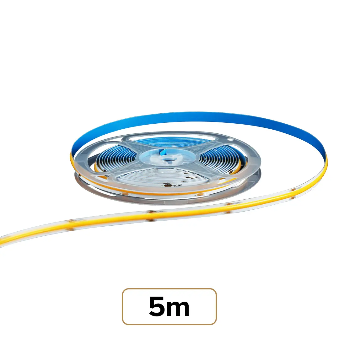 5m
