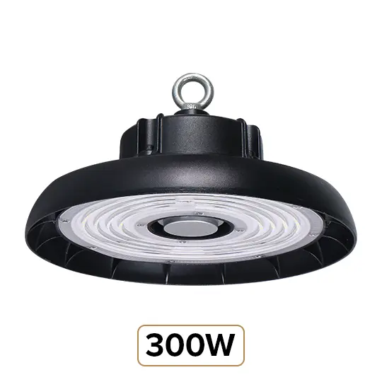 300W
