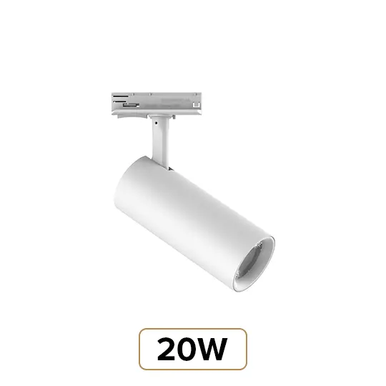 20W