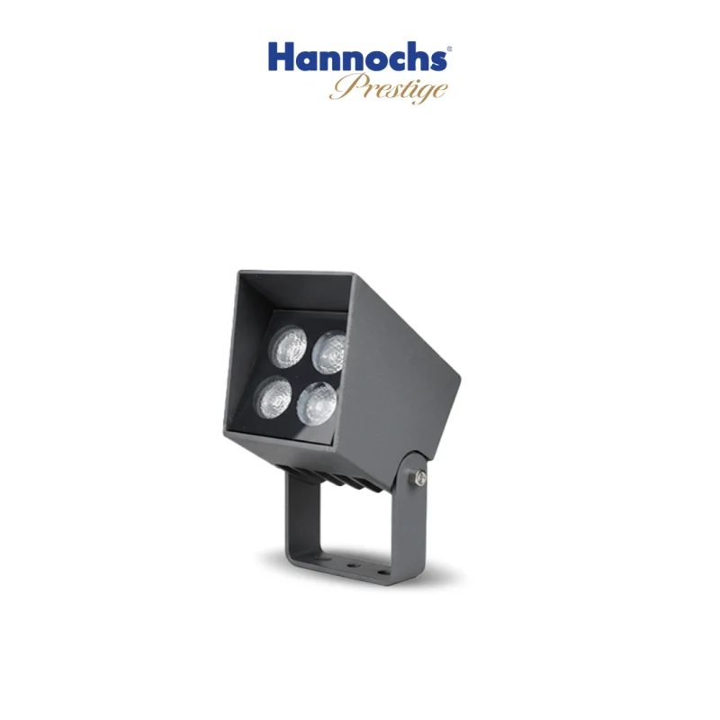 Hannochs Prestige Spotlight LED PA230611