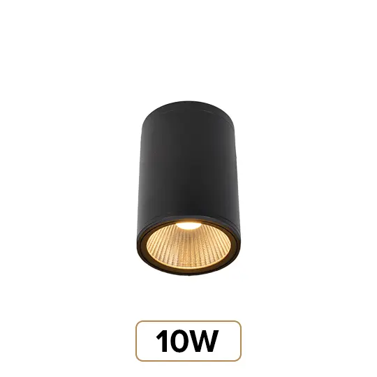 10W