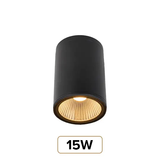 15W