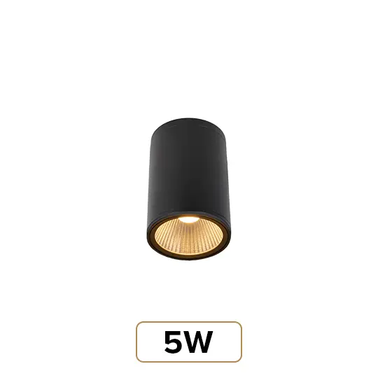 5W
