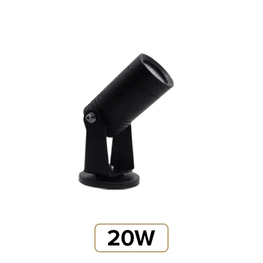 20W
