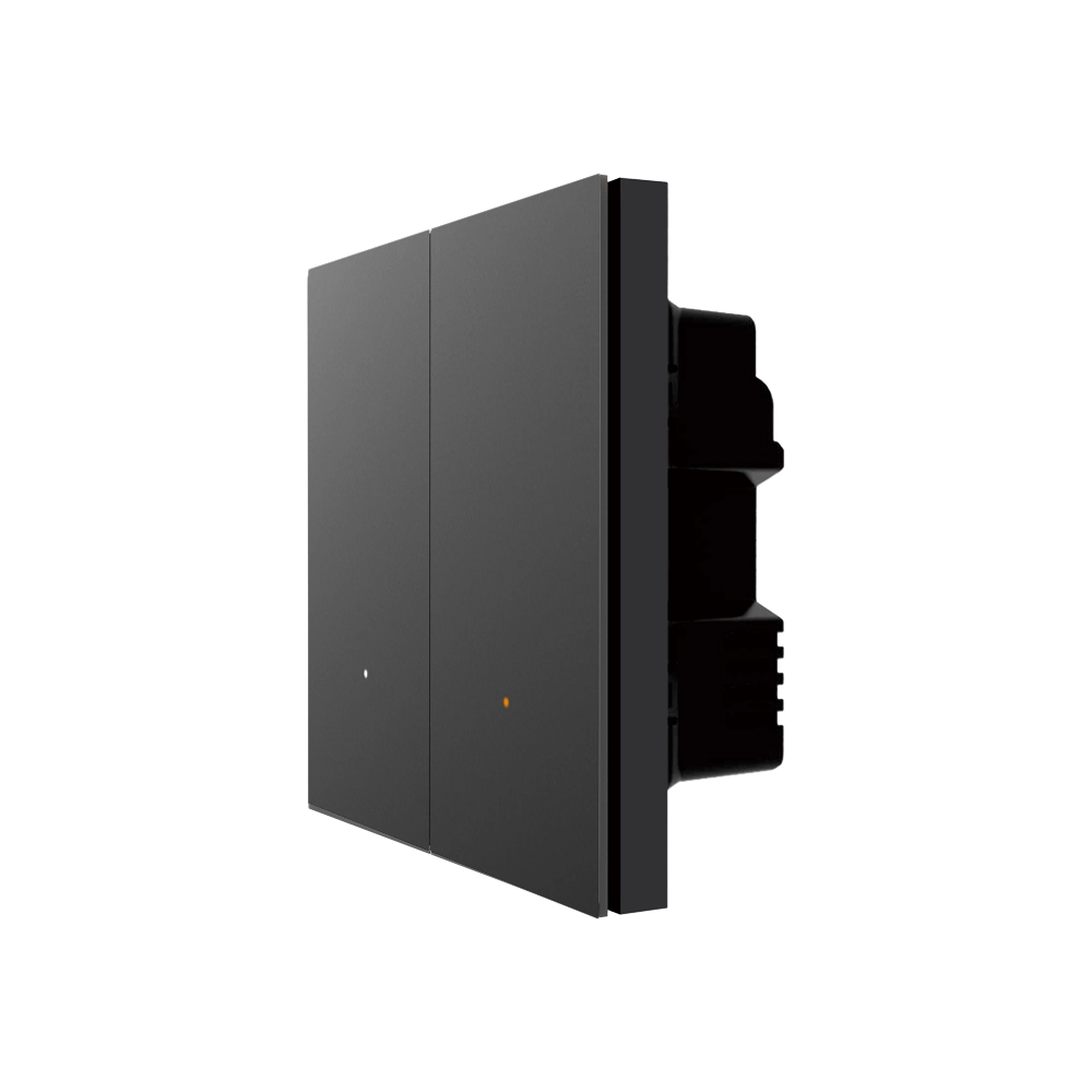 Hannochs Prestige Smart 2 Gang Switch