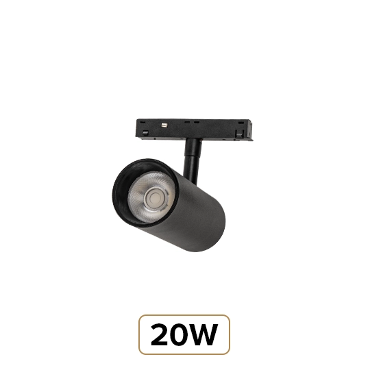 20W